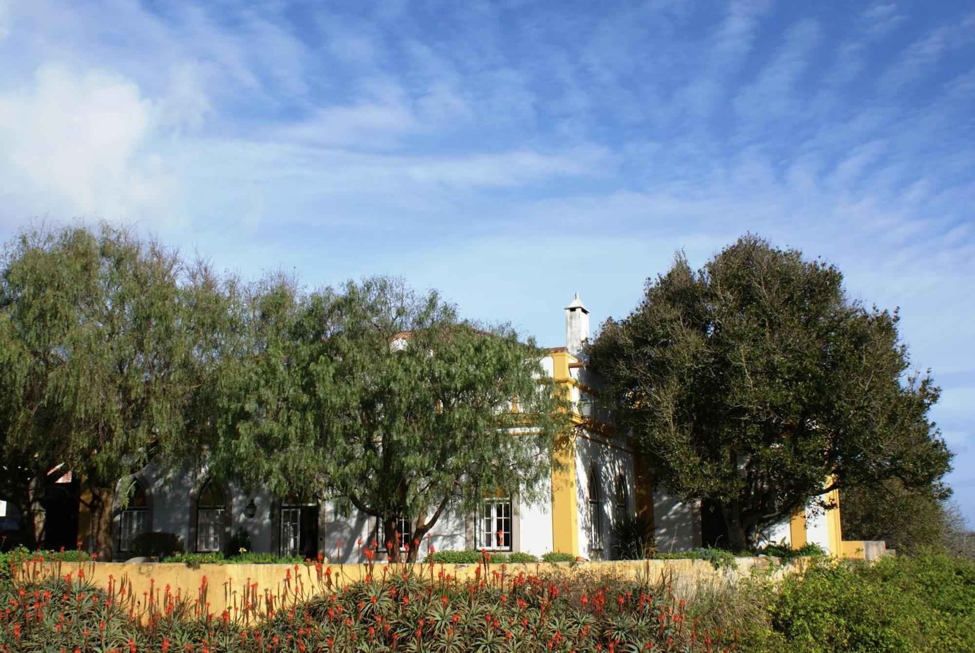 Casa Do Castelo - Turismo De Habitacao Bed & Breakfast Atouguia Da Baleia Exterior photo