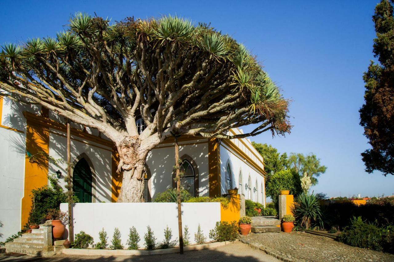 Casa Do Castelo - Turismo De Habitacao Bed & Breakfast Atouguia Da Baleia Exterior photo